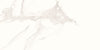 White Statuario 600mm x 300mm Carrara Glossy Porcelain Bathroom Tiles, TUP142