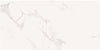 White Statuario 600mm x 1200mm Statuario Matt Porcelain Floor and Wall Tile
