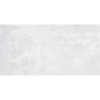 Grey Porcelain 600mm x 300mm Grigio Light Glossy Floor Tile, TUP46