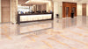 Rose Gold with veins 600mm x1200mm Porcelain Gloss Tiles, TUP158